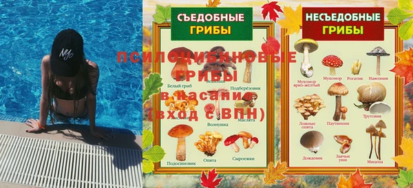 спайс Карпинск