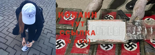 спайс Карпинск