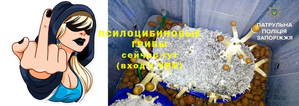 молекула духа Касимов