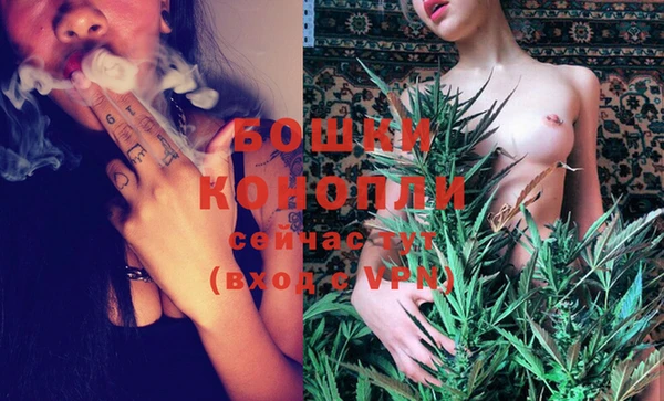 спайс Карпинск