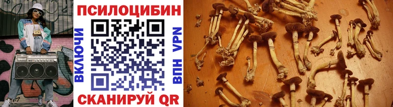 Псилоцибиновые грибы ЛСД  Ковдор 